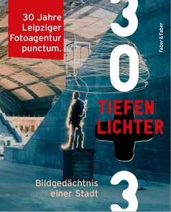 Tiefen – Lichter von Hartinger,  Anselm