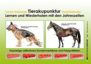 Tierakupunktur Lernkalender mit Dauerkalendarium (Pulsqualitäten, unpaarige Leitbahnen) von Krokowski,  Carola