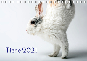 Tiere 2021 (Tischkalender 2021 DIN A5 quer) von Zwanzger,  Wolfgang