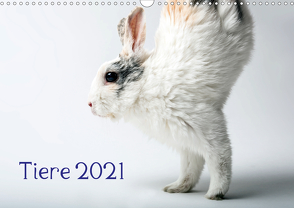 Tiere 2021 (Wandkalender 2021 DIN A3 quer) von Zwanzger,  Wolfgang