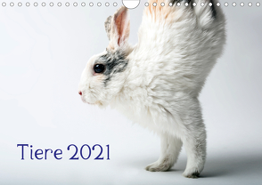 Tiere 2021 (Wandkalender 2021 DIN A4 quer) von Zwanzger,  Wolfgang