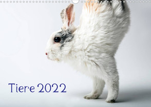 Tiere 2022 (Wandkalender 2022 DIN A3 quer) von Zwanzger,  Wolfgang