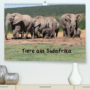 Tiere aus Südafrika (Premium, hochwertiger DIN A2 Wandkalender 2021, Kunstdruck in Hochglanz) von W. Bruechle,  Dr.