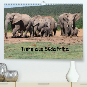 Tiere aus Südafrika (Premium, hochwertiger DIN A2 Wandkalender 2022, Kunstdruck in Hochglanz) von W. Bruechle,  Dr.