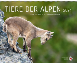 Tiere der Alpen 2024 von Schmid,  Adrian