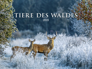 Tiere des Waldes 2021 – Bild-Kalender quer 56×42 cm – Tierkalender – Wald – Wand-Kalender – Alpha Edition