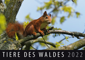 Tiere des Waldes 2022 von Quelle & Meyer Verlag