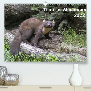 Tiere im Alpenraum (Premium, hochwertiger DIN A2 Wandkalender 2022, Kunstdruck in Hochglanz) von Christian Widdmann,  Uwe