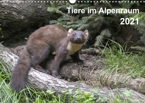 Tiere im Alpenraum (Wandkalender 2021 DIN A3 quer) von Christian Widdmann,  Uwe