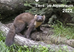 Tiere im Alpenraum (Wandkalender 2022 DIN A3 quer) von Christian Widdmann,  Uwe