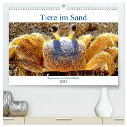 Tiere im Sand – Begegnungen am Strand auf Kuba (hochwertiger Premium Wandkalender 2024 DIN A2 quer), Kunstdruck in Hochglanz von von Loewis of Menar,  Henning