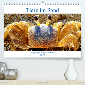 Tiere im Sand – Begegnungen am Strand auf Kuba (Premium, hochwertiger DIN A2 Wandkalender 2023, Kunstdruck in Hochglanz) von von Loewis of Menar,  Henning