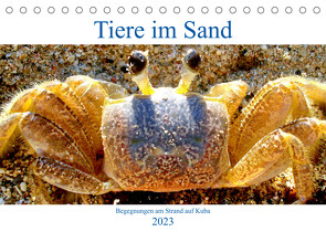 Tiere im Sand – Begegnungen am Strand auf Kuba (Tischkalender 2023 DIN A5 quer) von von Loewis of Menar,  Henning