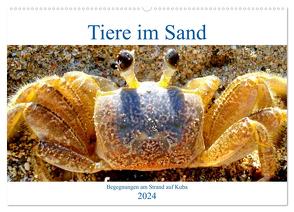 Tiere im Sand – Begegnungen am Strand auf Kuba (Wandkalender 2024 DIN A2 quer), CALVENDO Monatskalender von von Loewis of Menar,  Henning