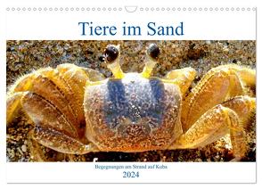 Tiere im Sand – Begegnungen am Strand auf Kuba (Wandkalender 2024 DIN A3 quer), CALVENDO Monatskalender von von Loewis of Menar,  Henning