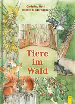 Tiere im Wald von Maderbacher,  Renate, Rettl,  Christine