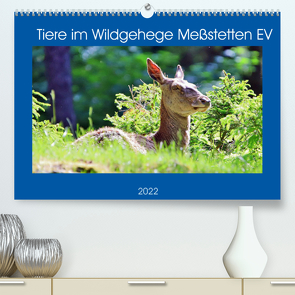 Tiere im Wildgehege Meßstetten EV (Premium, hochwertiger DIN A2 Wandkalender 2022, Kunstdruck in Hochglanz) von N.,  N.