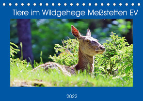 Tiere im Wildgehege Meßstetten EV (Tischkalender 2022 DIN A5 quer) von N.,  N.