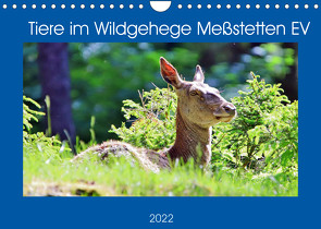 Tiere im Wildgehege Meßstetten EV (Wandkalender 2022 DIN A4 quer) von N.,  N.