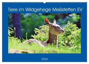 Tiere im Wildgehege Meßstetten EV (Wandkalender 2024 DIN A2 quer), CALVENDO Monatskalender von Geiger,  Günther