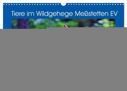 Tiere im Wildgehege Meßstetten EV (Wandkalender 2024 DIN A3 quer), CALVENDO Monatskalender von Geiger,  Günther