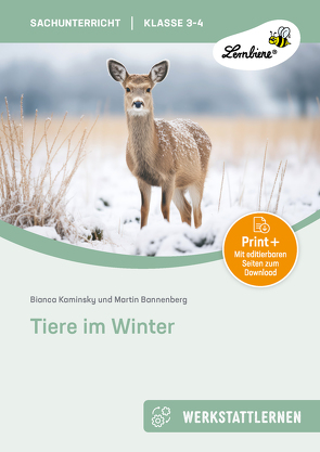 Tiere im Winter von Bannenberg,  M., Kaminsky,  B.