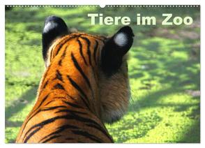 Tiere im Zoo (Wandkalender 2024 DIN A2 quer), CALVENDO Monatskalender von Kügler,  Antje