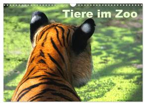 Tiere im Zoo (Wandkalender 2024 DIN A3 quer), CALVENDO Monatskalender von Kügler,  Antje