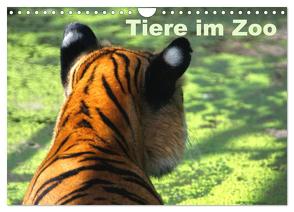 Tiere im Zoo (Wandkalender 2024 DIN A4 quer), CALVENDO Monatskalender von Kügler,  Antje