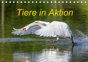 Tiere in Aktion (Tischkalender 2021 DIN A5 quer) von Martin,  Wilfried