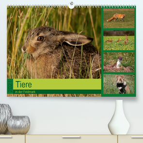 Tiere in der Feldmark (Premium, hochwertiger DIN A2 Wandkalender 2021, Kunstdruck in Hochglanz) von Erlwein,  Winfried