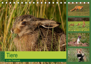 Tiere in der Feldmark (Tischkalender 2022 DIN A5 quer) von Erlwein,  Winfried