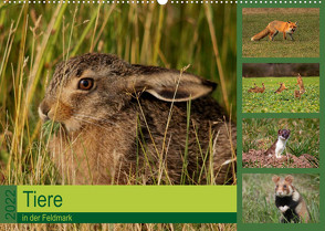 Tiere in der Feldmark (Wandkalender 2022 DIN A2 quer) von Erlwein,  Winfried