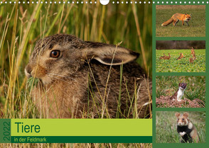 Tiere in der Feldmark (Wandkalender 2022 DIN A3 quer) von Erlwein,  Winfried