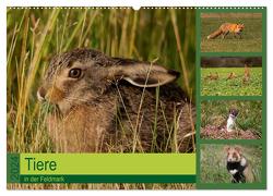 Tiere in der Feldmark (Wandkalender 2024 DIN A2 quer), CALVENDO Monatskalender von Erlwein,  Winfried