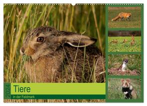 Tiere in der Feldmark (Wandkalender 2024 DIN A2 quer), CALVENDO Monatskalender von Erlwein,  Winfried