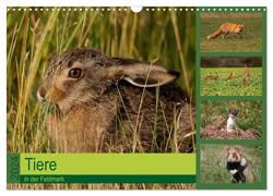 Tiere in der Feldmark (Wandkalender 2024 DIN A3 quer), CALVENDO Monatskalender von Erlwein,  Winfried