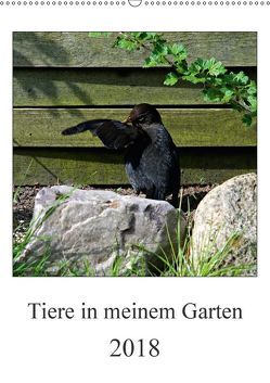 Tiere in meinem Garten (Wandkalender 2018 DIN A2 hoch) von Steenblock,  Ewald