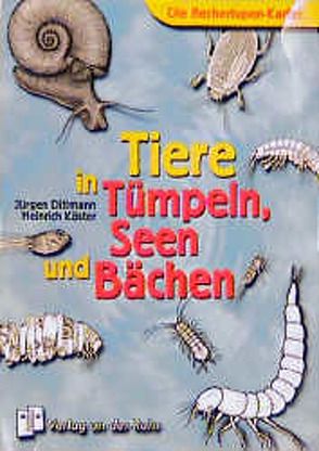 Tiere in Tümpeln, Seen und Bächen von Dittmann,  Jürgen, Köster,  Heinrich