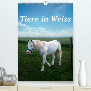 Tiere in Weiß (Premium, hochwertiger DIN A2 Wandkalender 2021, Kunstdruck in Hochglanz) von Brunner-Klaus,  Liselotte