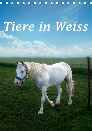 Tiere in Weiß (Tischkalender 2019 DIN A5 hoch) von Brunner-Klaus,  Liselotte