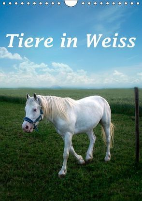 Tiere in Weiß (Wandkalender 2019 DIN A4 hoch) von Brunner-Klaus,  Liselotte