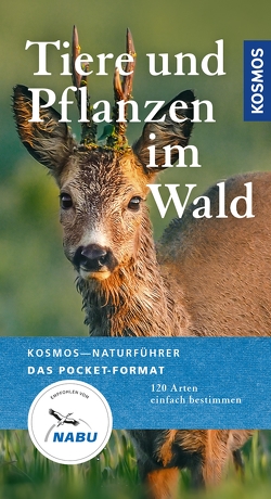 Tiere und Pflanzen unserer Wälder von Wilhelmsen,  Ute