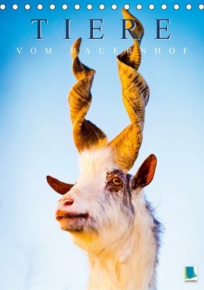 Tiere vom Bauernhof (Tischkalender 2018 DIN A5 hoch) von CALVENDO