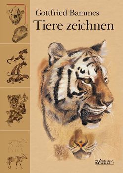 Tiere zeichnen von Bammes,  Gottfried