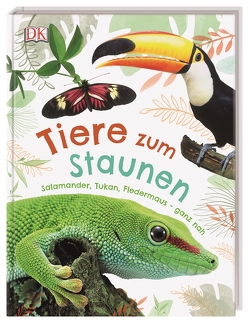 Tiere zum Staunen von Condé,  Christine