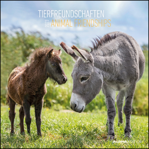 Tierfreundschaften 2023 – Broschürenkalender 30×30 cm (30×60 geöffnet) – Kalender mit Platz für Notizen – Animal Friendships – Bildkalender – Planer