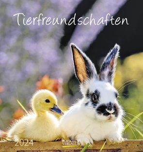 Tierfreundschaften 2024 von Korsch Verlag