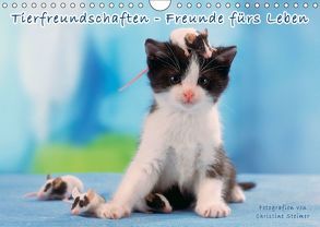 Tierfreundschaften – Freunde fürs Leben (Wandkalender 2018 DIN A4 quer) von Steimer,  Christine