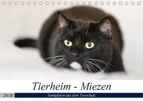 Tierheim – Miezen (Tischkalender 2018 DIN A5 quer) von Metternich,  Doris